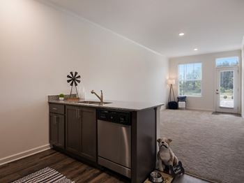 Kitchen cabinets